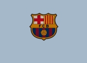 九游体育直播-绿茵场上的总决赛，奥地利生死战背后的篮球智慧