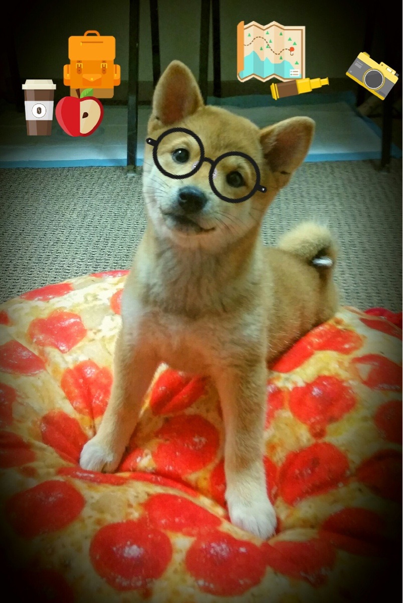 阿坎吉统治级数据闪耀，智利险胜威尔士背后的战术博弈