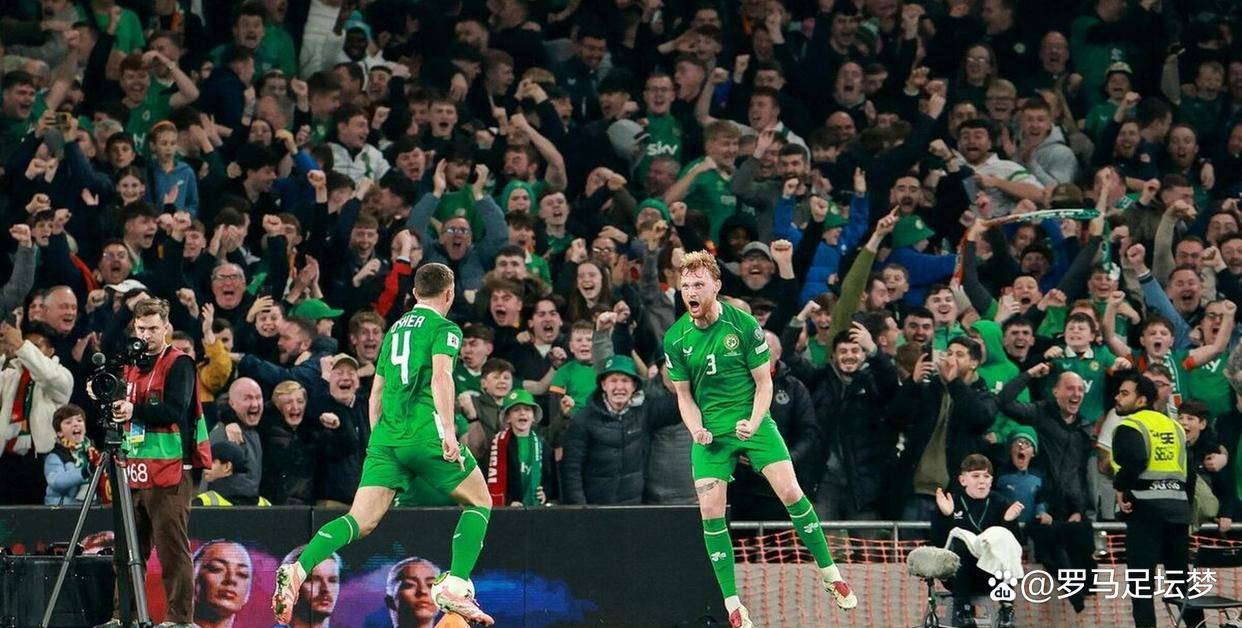 爱尔兰队在对决比利时中取得胜利