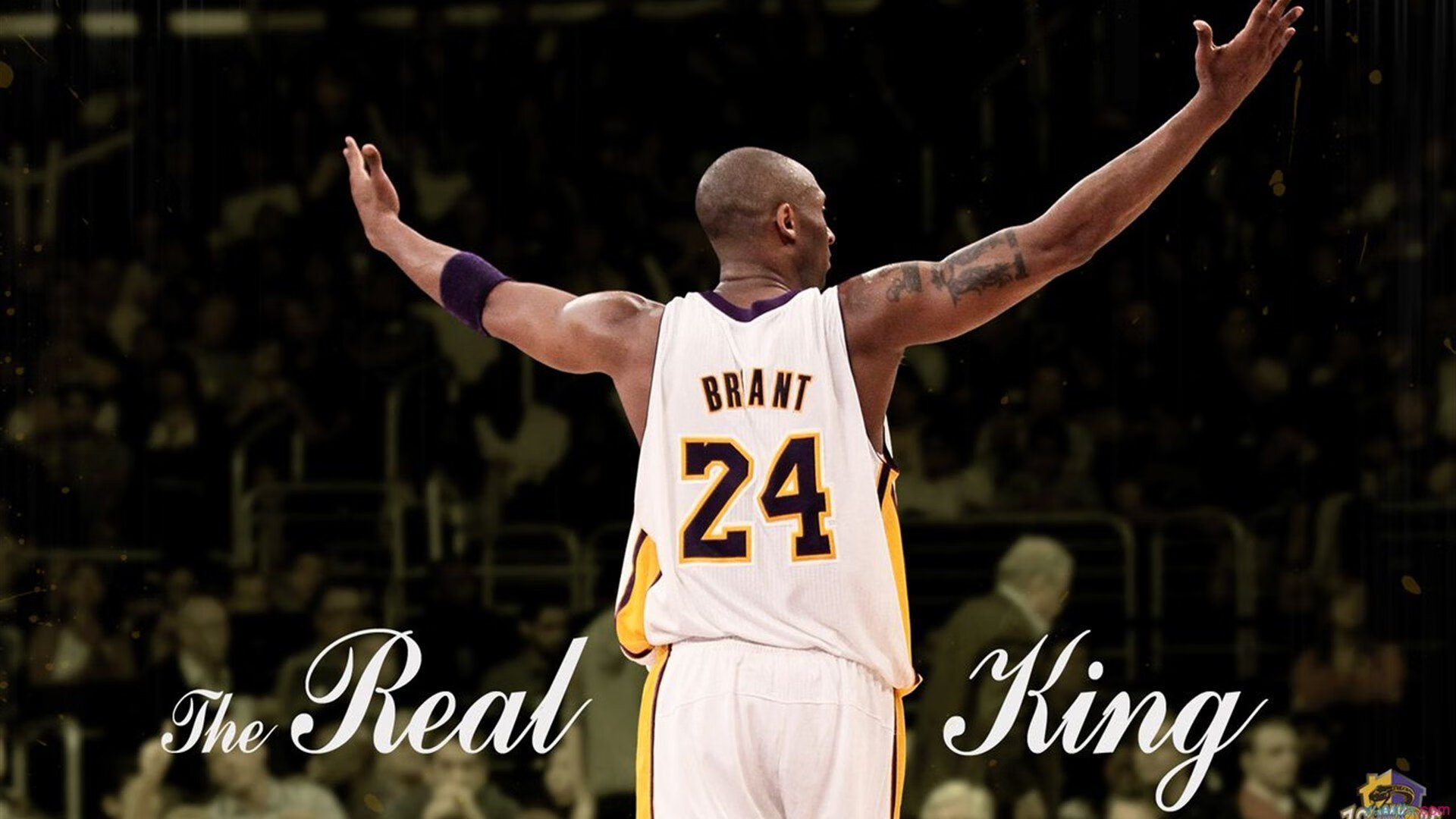 字母哥里程碑之夜，马刺节奏艺术掌控公牛